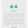 Isabela silver earrings card